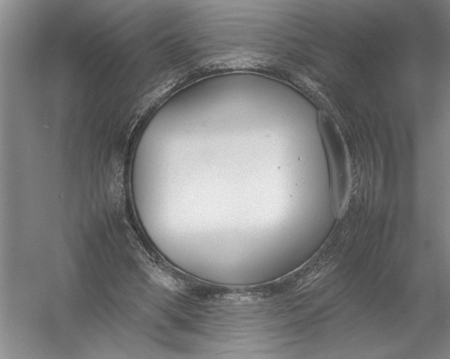X0000054390394200508191944