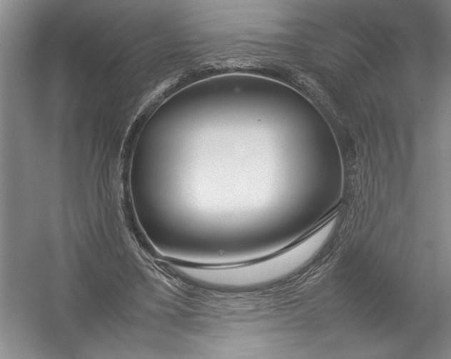 X0000054390395200508191944