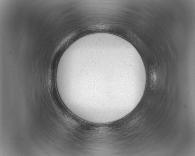X0000054390396200508191944