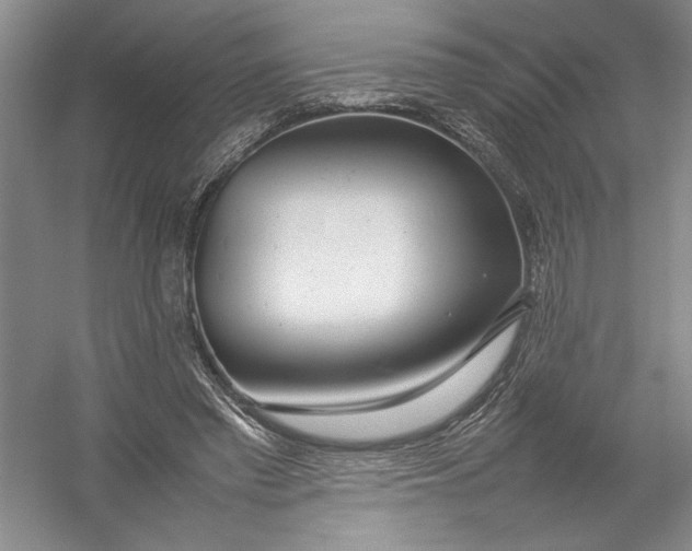 X0000054390397200508191944