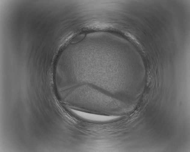 X0000054390399200508191944
