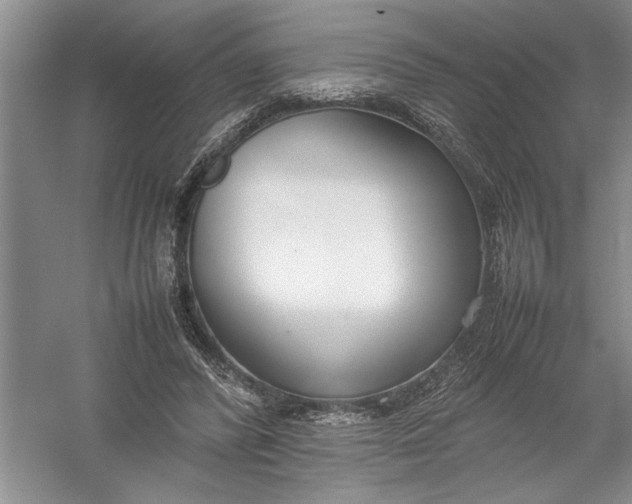 X0000054390400200508191944