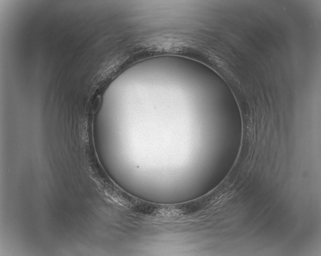X0000054390403200508191944