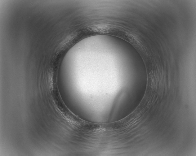 X0000054390404200508191944