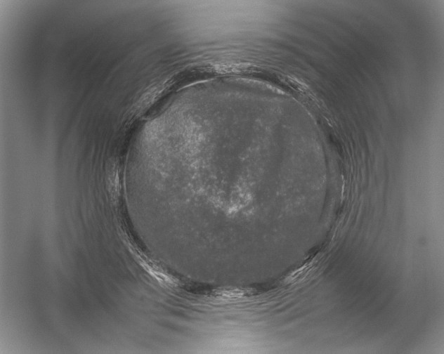 X0000054390405200508191944