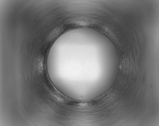 X0000054390406200508191944