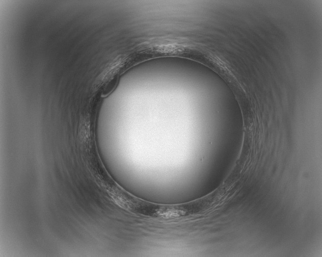 X0000054390407200508191944