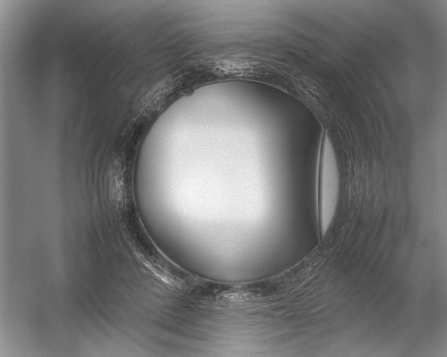 X0000054390408200508191944