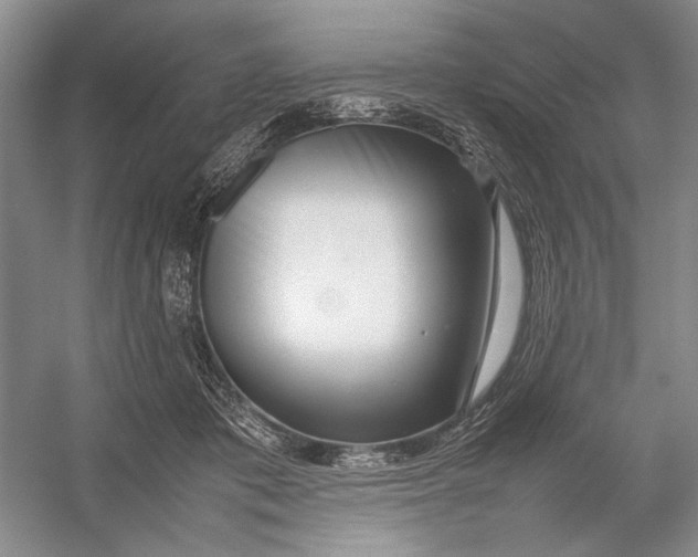 X0000054390413200508191944