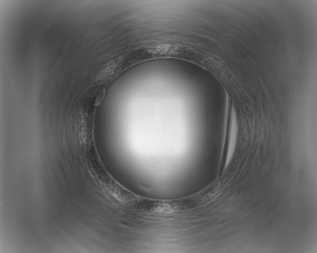 X0000054390416200508191944