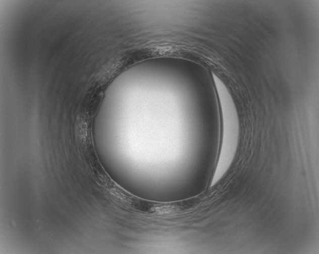 X0000054390417200508191944