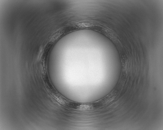 X0000054390418200508191944