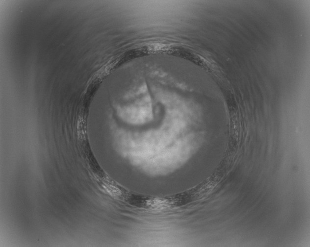 X0000054390419200508191944
