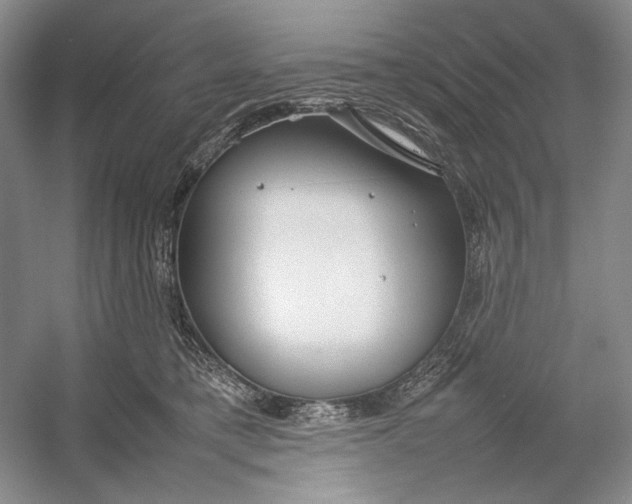 X0000054390421200508191944
