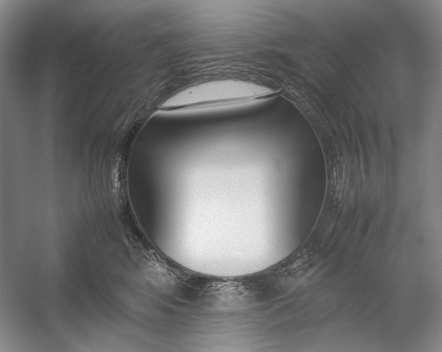 X0000054390424200508191944