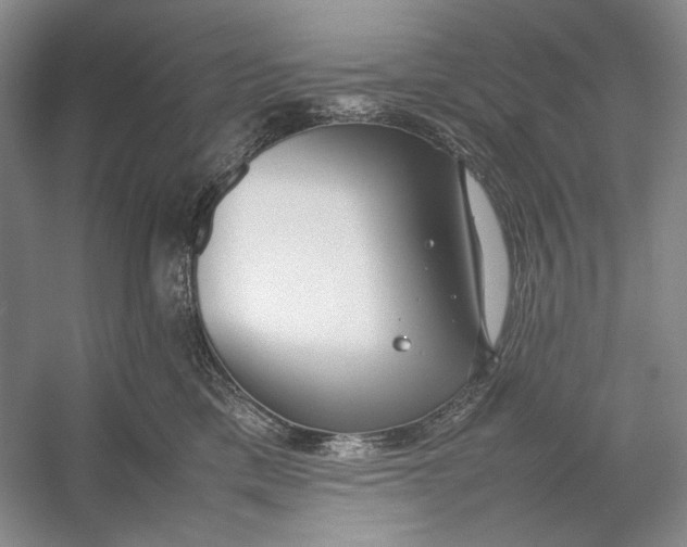 X0000054390425200508191944