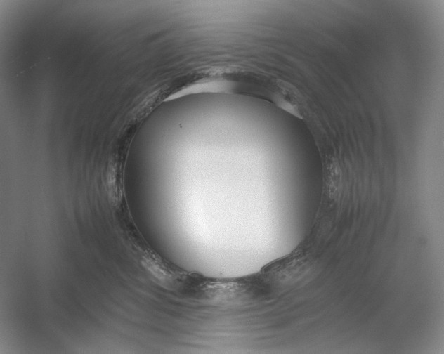 X0000054390428200508191944