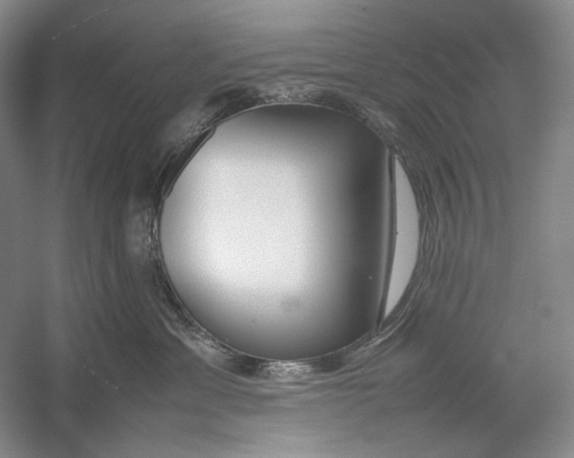 X0000054390429200508191944