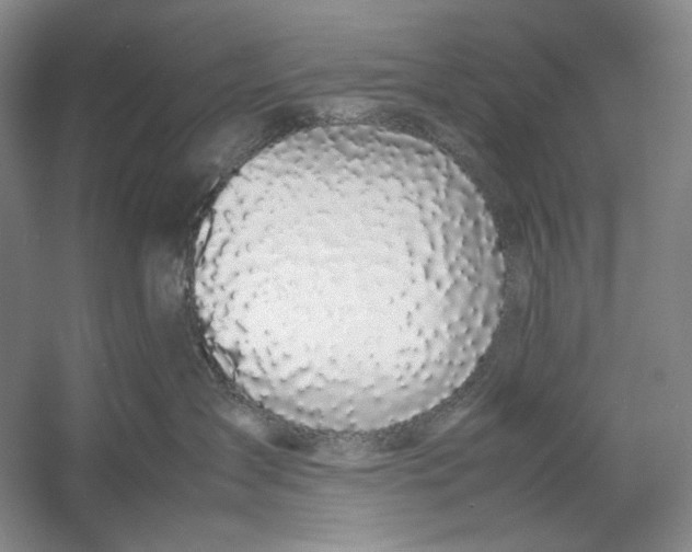 X0000054390431200508191944
