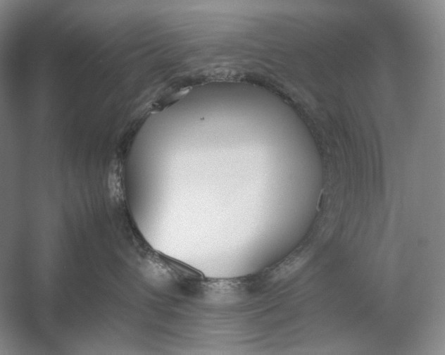 X0000054390432200508191944