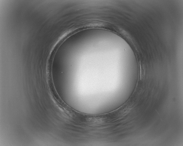 X0000054390435200508191943