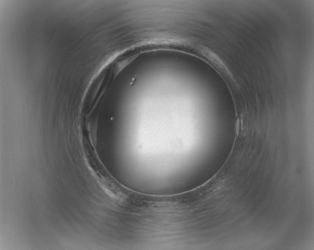 X0000054390436200508191943