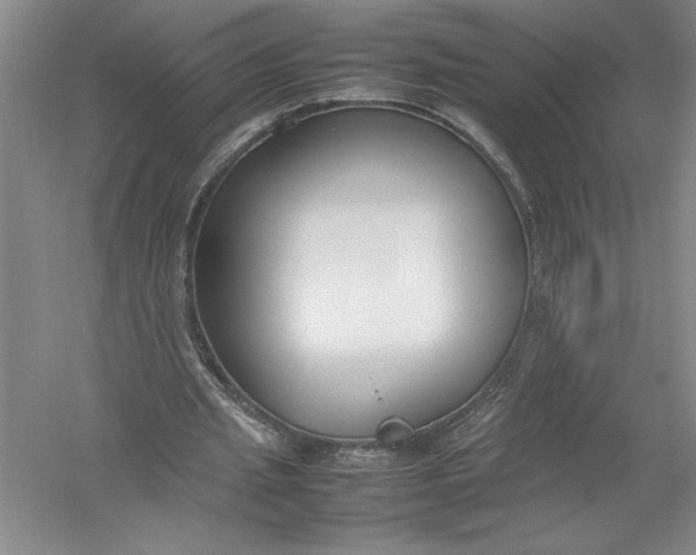 X0000054390437200508191943