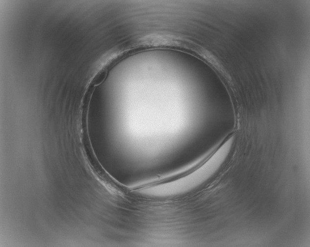 X0000054390438200508191943