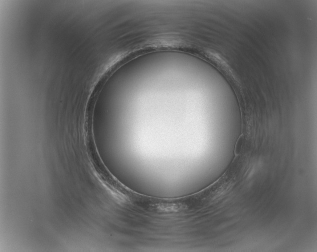 X0000054390439200508191943