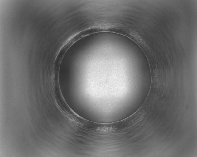 X0000054390440200508191943