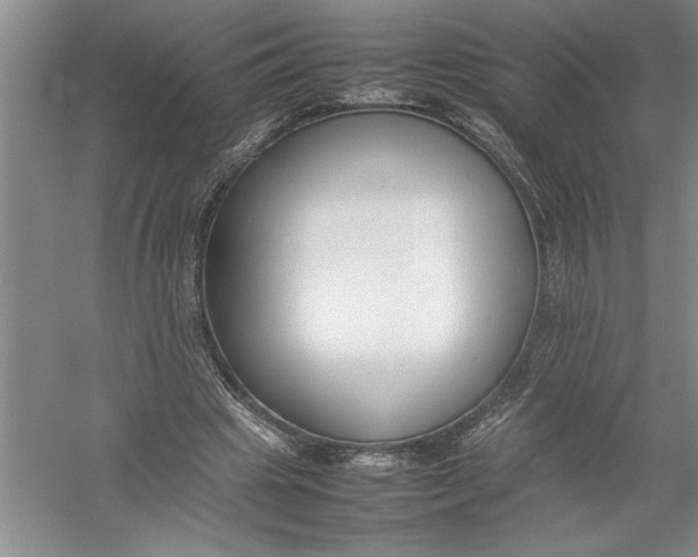 X0000054390441200508191943