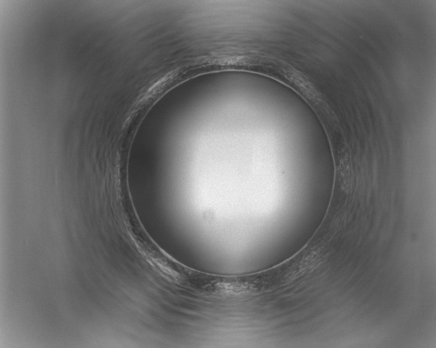 X0000054390442200508191943
