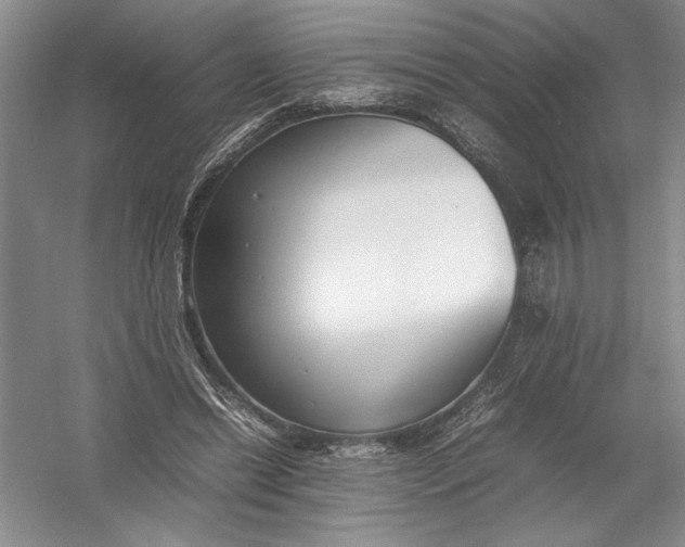 X0000054390446200508191943