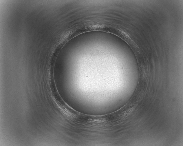 X0000054390447200508191943