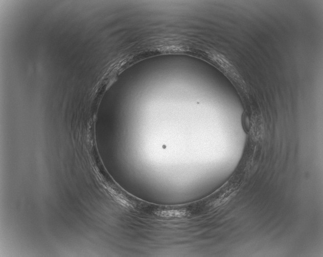 X0000054390449200508191943