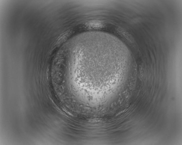 X0000054390451200508191943