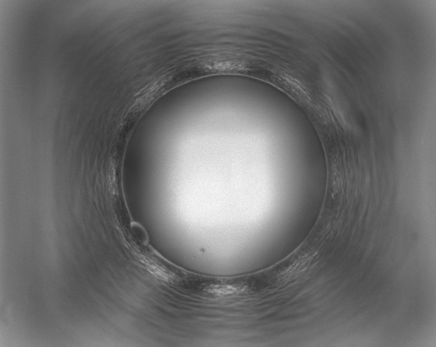 X0000054390453200508191943