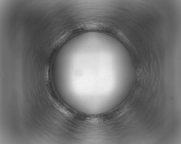 X0000054390454200508191943