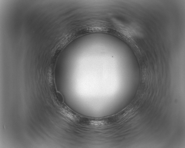 X0000054390457200508191943