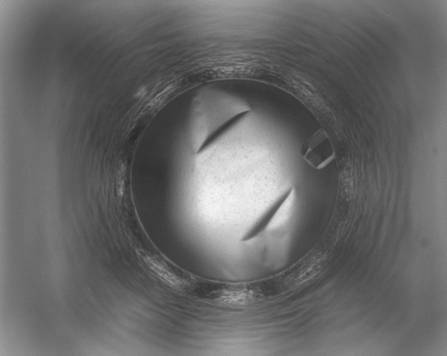 X0000054390458200508191943