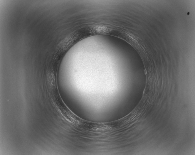 X0000054390459200508191943