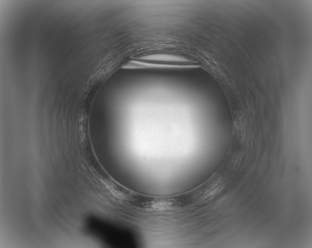 X0000054390462200508191943