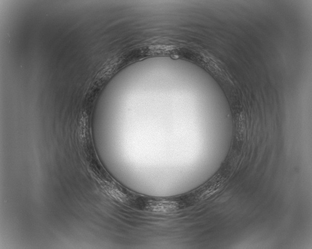 X0000054390463200508191943