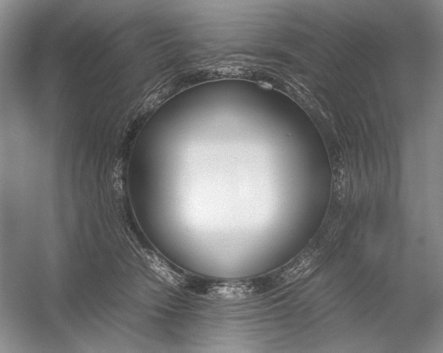 X0000054390466200508191943