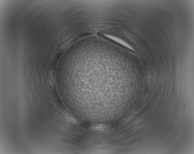 X0000054390467200508191943