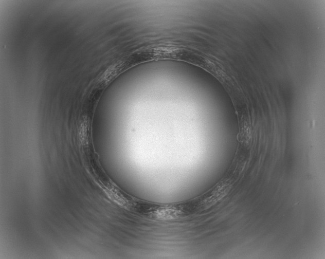 X0000054390468200508191943