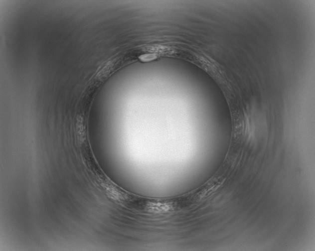 X0000054390469200508191943