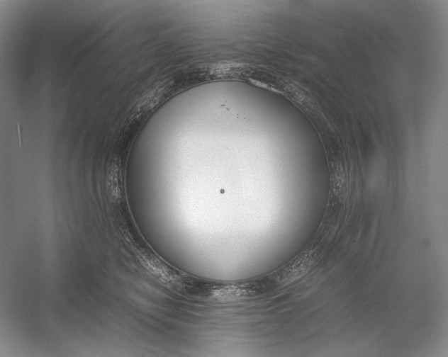 X0000054390470200508191943