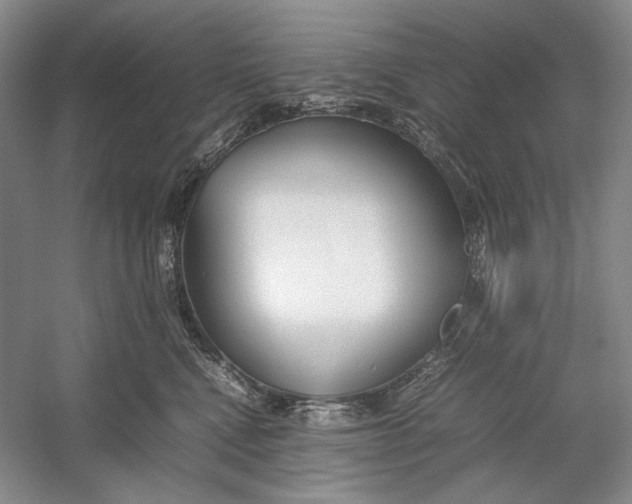 X0000054390472200508191943