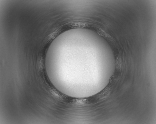 X0000054390474200508191943